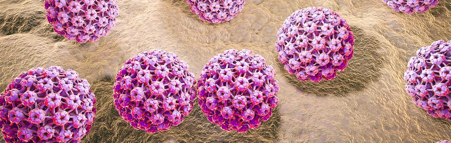 Вирус папилломы человека — онкогенное заболевание